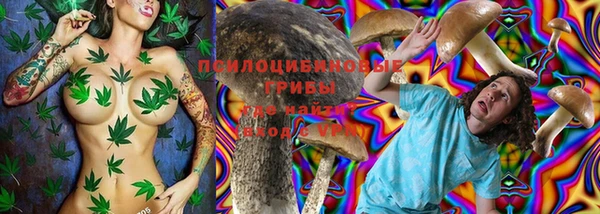 метадон Алексеевка