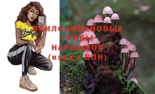 твердый Алексин