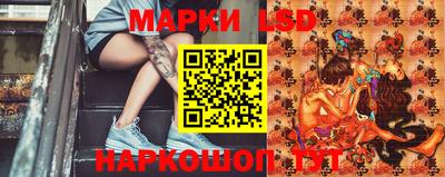 мдпв Бердск