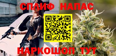 мдпв Бердск