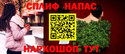 мдпв Бердск
