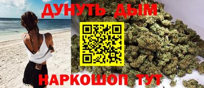 мдпв Бердск
