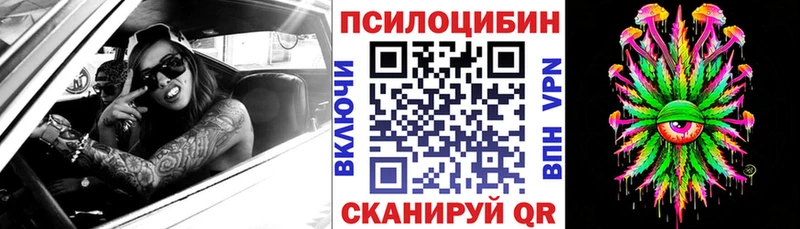 kraken онион  наркота  Махачкала  Псилоцибиновые грибы мицелий 