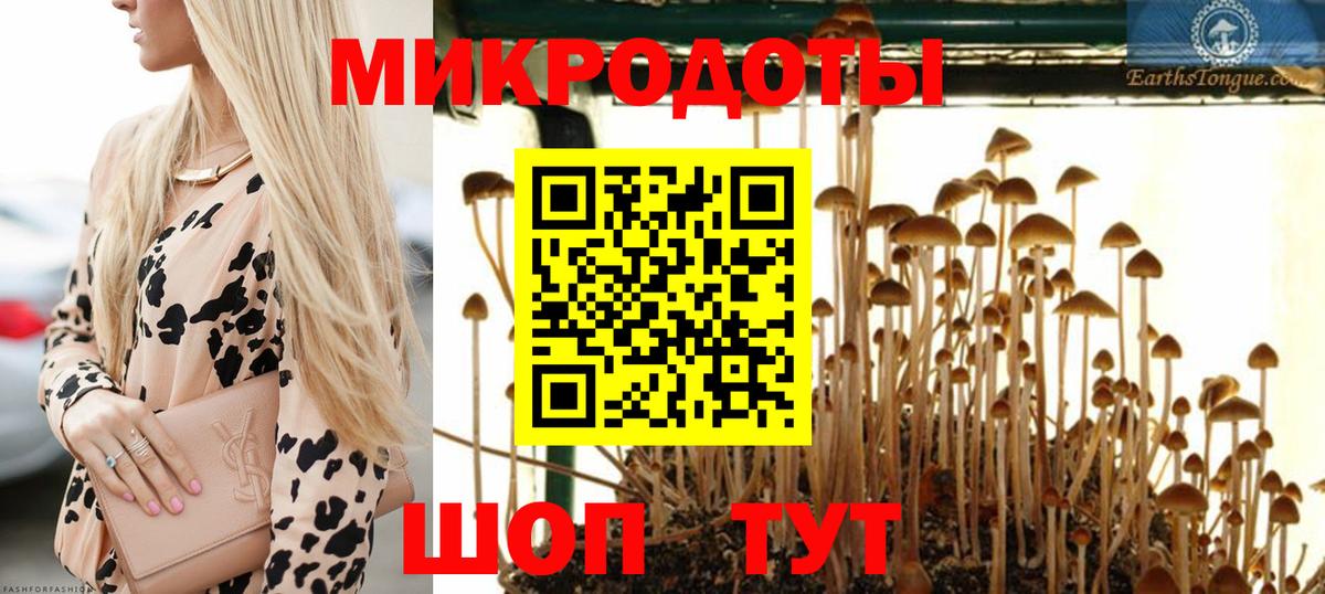 Галлюциногенные грибы прущие грибы Махачкала
