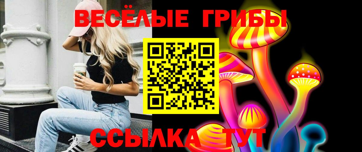 Галлюциногенные грибы Psilocybe  Галлюциногенные грибы прущие грибы  Махачкала  Вход с VPN 